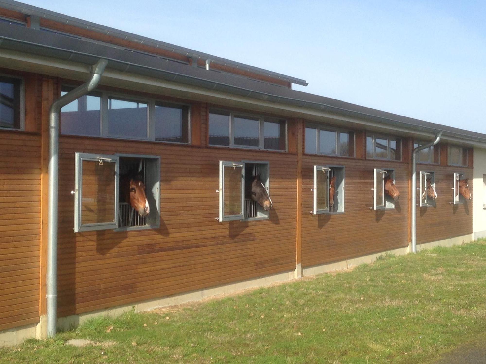 Domaine Equestre De La Chenaie Apartment Сомюр Екстериор снимка